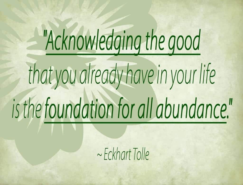 "Acknowledging the good that you already have in your life is the foundation for all abundance." ~ Eckhart Tolle