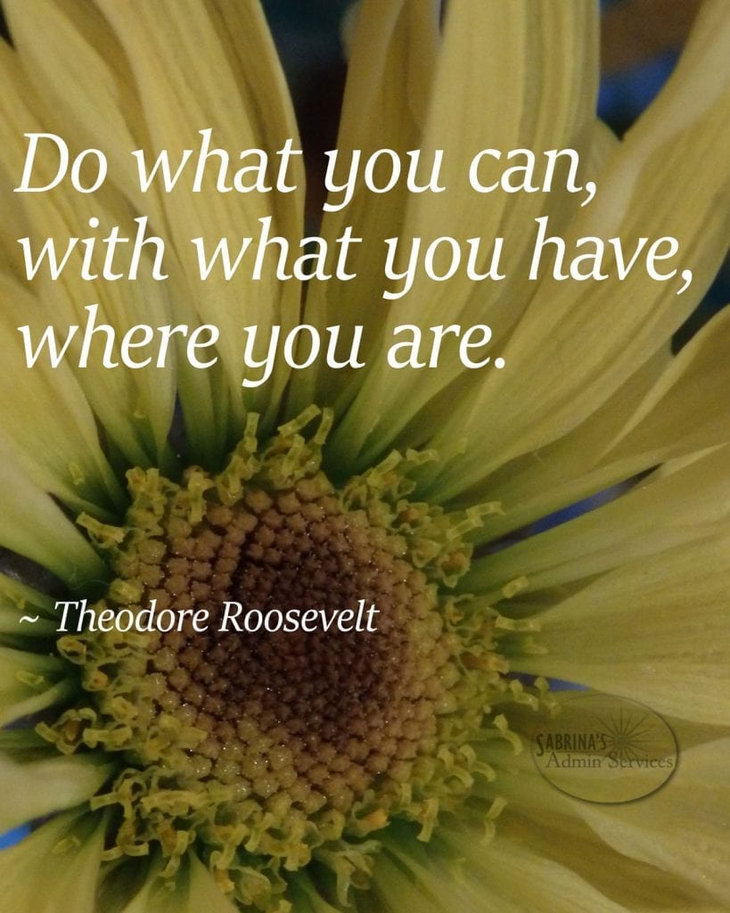 Theodore Roosevelt do what you can quote