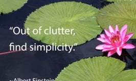 Out of clutter, find simplicity Albert Einstein