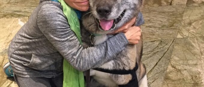 Fabulous Small Business Owner Interview Featuring Ilene Applebaum