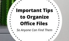 Important Tips to Organize Office Files - So Anyone Can Find Them