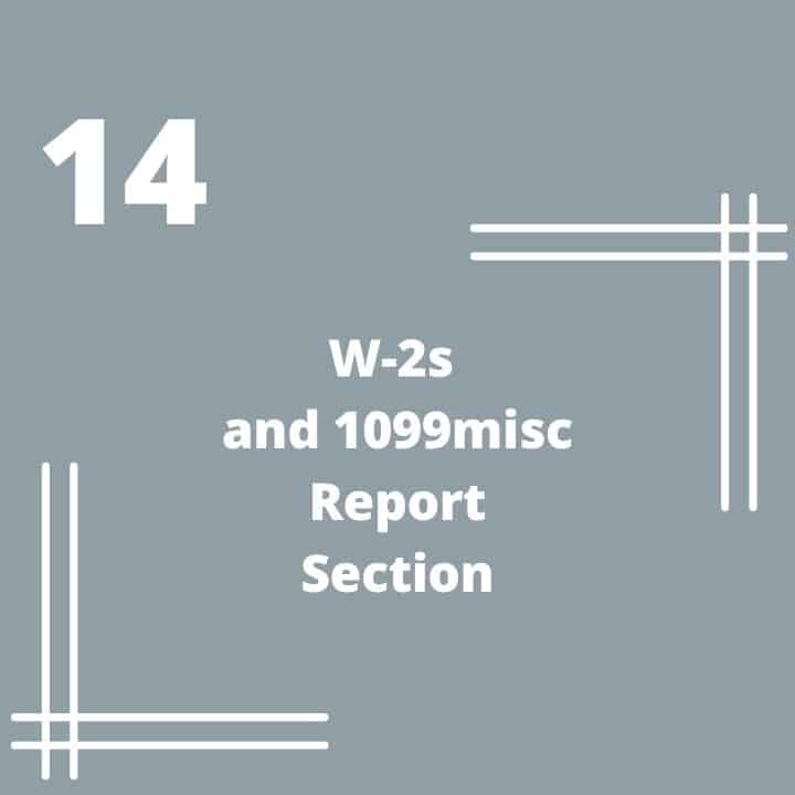 W-2s and 1099misc Report Section