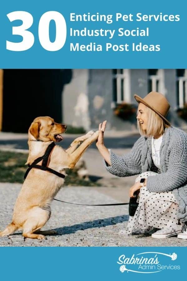 30 Enticing Pet Services Industry Social Media Post Ideas - featured image