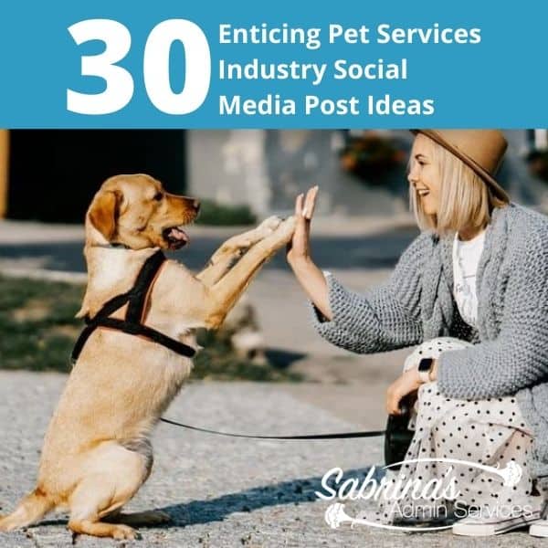 30 Enticing Pet Services Industry Social Media Post Ideas - square image